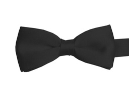 [DL10] Bow Tie Polyester Barathea
