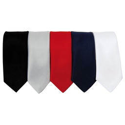[PR793] Slim Coloured Ties (Pr793)